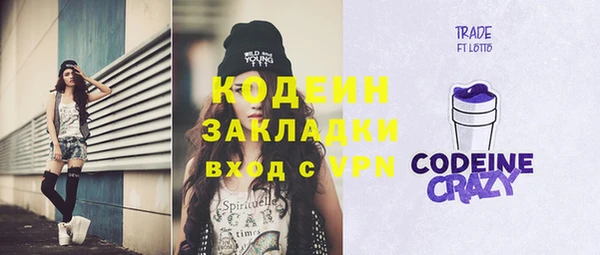 индика Кулебаки