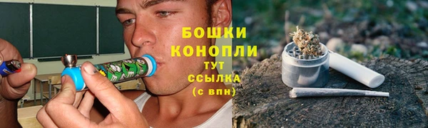 бошки Новодвинск