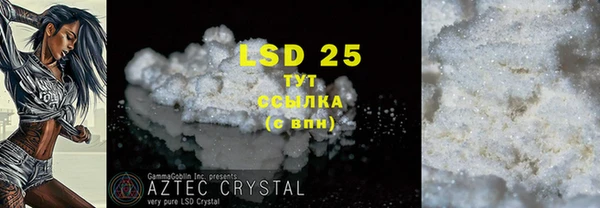 индика Кулебаки
