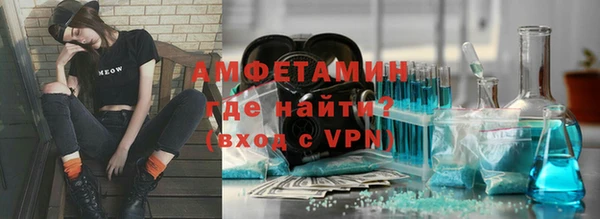 шишки Коряжма