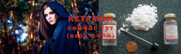 индика Кулебаки