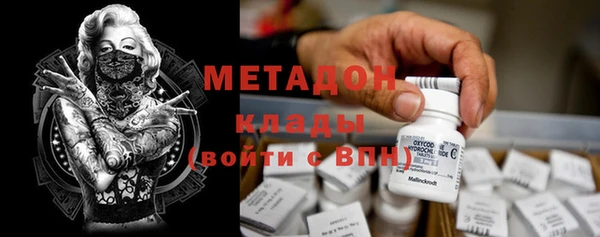 индика Кулебаки