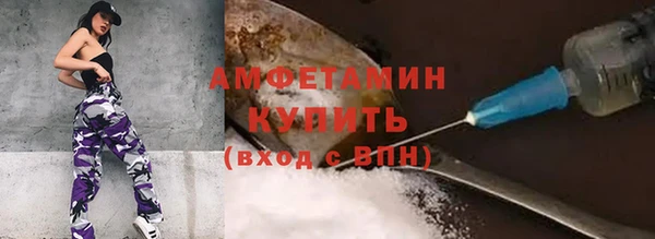 индика Кулебаки