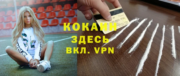 шишки Краснотурьинск