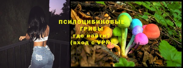 шишки Краснотурьинск