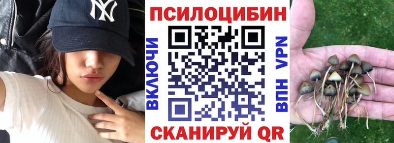 купить сайты Спас-Клепики Псилоцибиновые грибы мухоморы